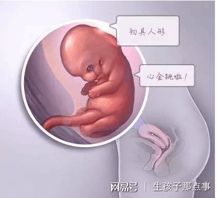 正规同性代孕咨询包生儿子